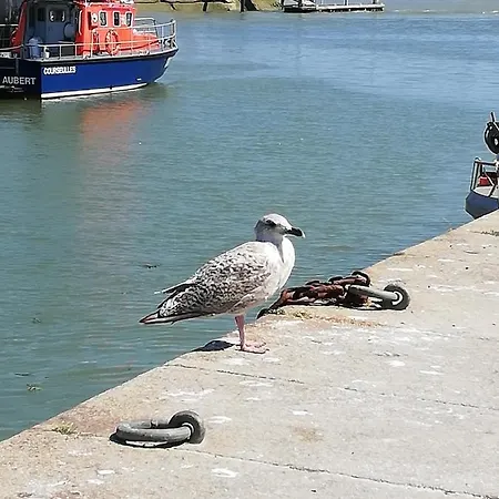 Maison Des Residences De La Feriehus *