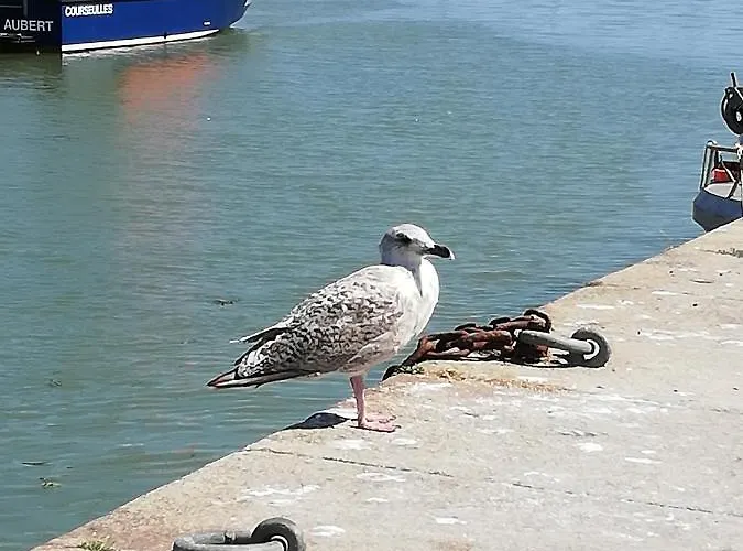 Maison Des Résidences De La Сasa de vacaciones *